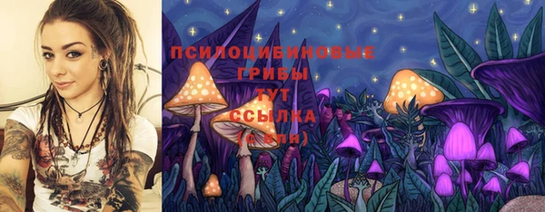 эйфоретик Богородицк