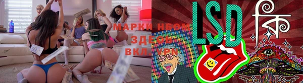крисы Богданович